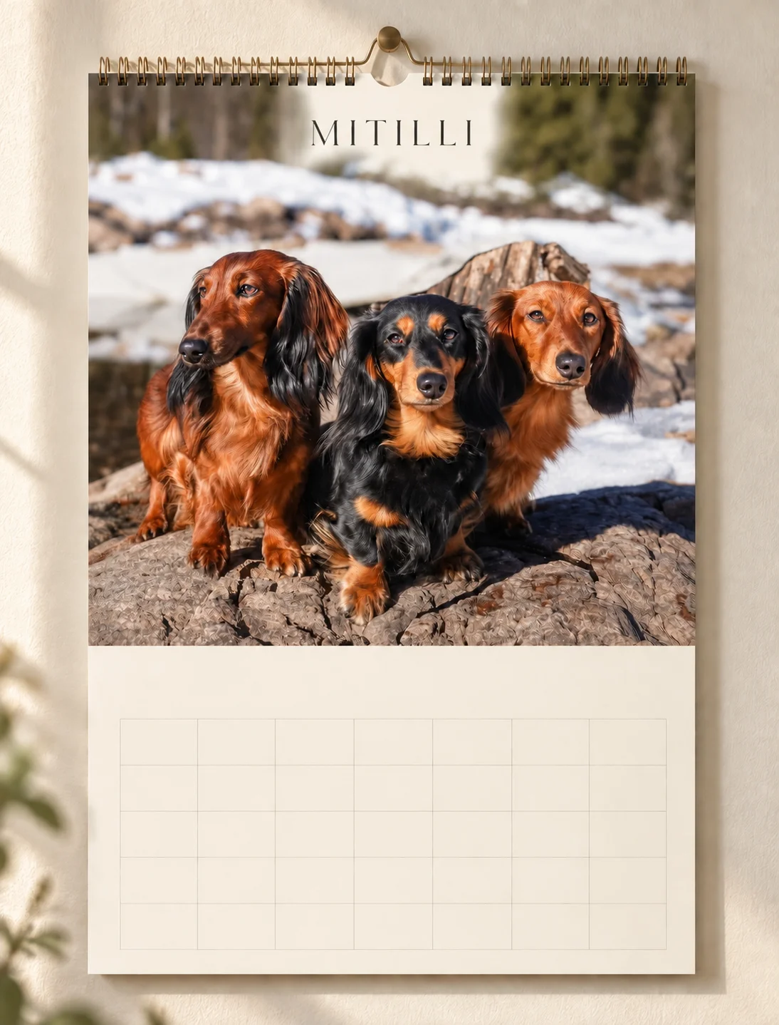 MITILLI veggkalender med hundene fra kennelen